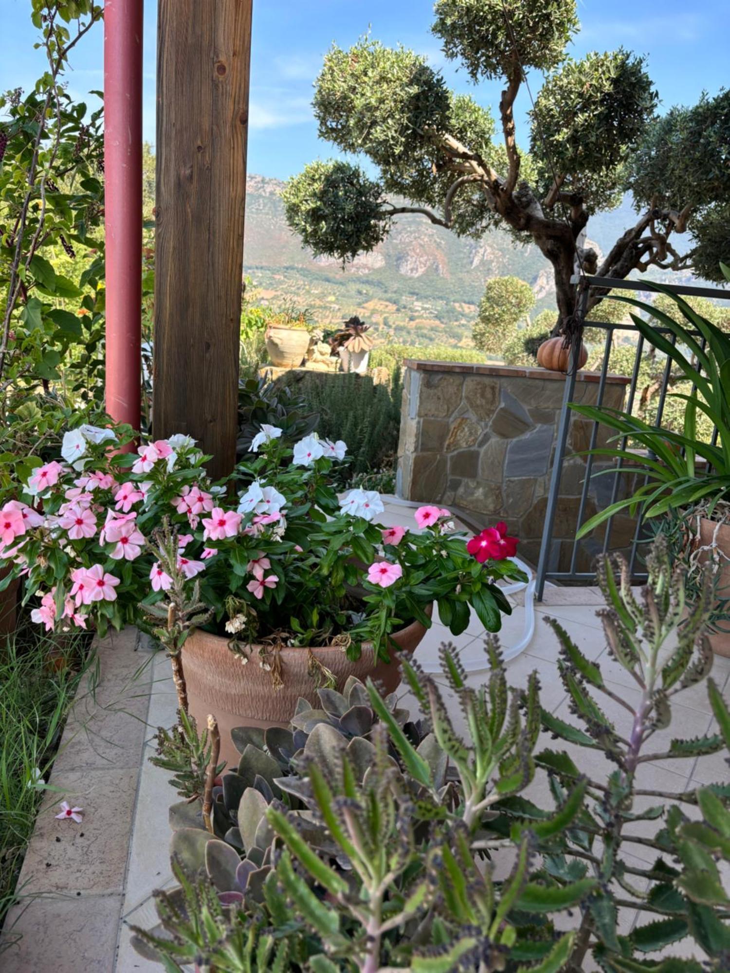 B&B Casa Martina Giungano Exterior photo